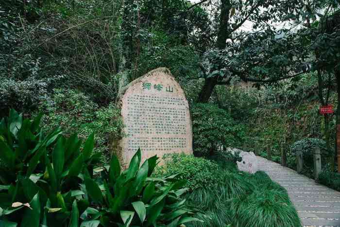 狮峰山"有各种路型,平道,山间小道,台阶路以及石-大众点评移动版