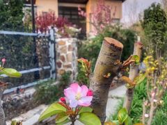 -天津东丽湖风景区