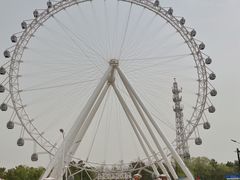 -日照海滨国家森林公园