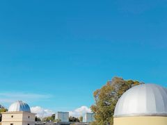 -墨尔本皇家植物园