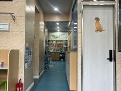 -东日国际动物医院·CT·心脏专科(桃源分院)