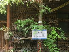 -呀路古热带植物园-恐龙馆