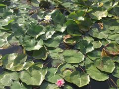 -永定河休闲森林公园