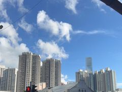 -油麻地果栏