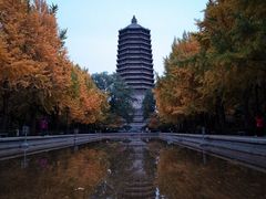 -玲珑塔公园