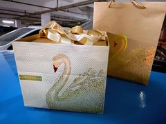 -BLACKSWAN黑天鹅(环球店)