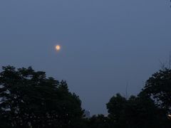 -西湖风景区-江洋畈生态公园