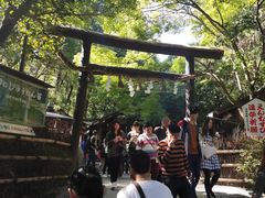 -野宫神社