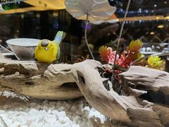 -红辣椒·川菜·火锅(张杨路店)
