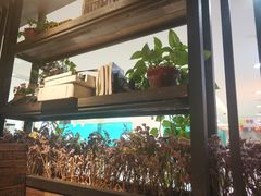 -探鱼·鲜青椒爽麻烤鱼(西南商都店)
