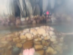 -贵御温泉