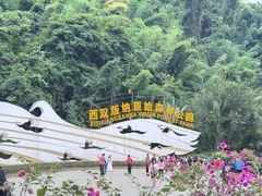 -西双版纳原始森林公园
