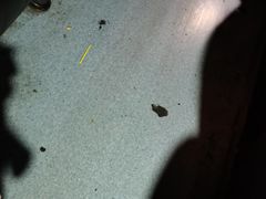 -大地影院(宁波培罗成店)