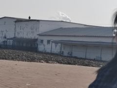 -杨柳青园艺科技博览园