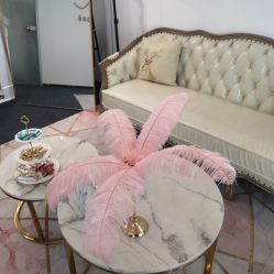 -La Rose·轻奢皮肤管理
