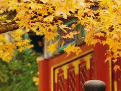 -香山公园