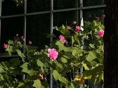 -白塘生态植物园