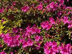 -长阳创谷