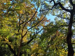 -普陀山慧济禅寺