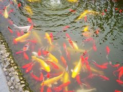-成飞公园