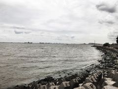 -南汇嘴观海公园
