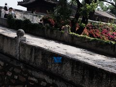 -红螺寺