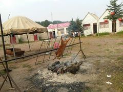 android_upload_pic-塞罕坝国家级自然保护区