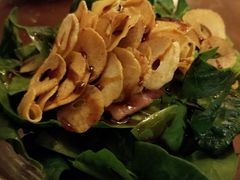 -樱の花亭日本料理店