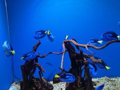 -海合安青岛极地海洋公园