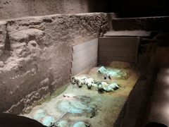 -秦始皇帝陵博物院-丽山园