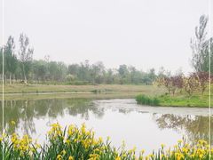 -东郊湿地公园