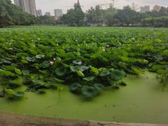 -西南交通大学(九里校区)