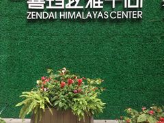 -证大喜玛拉雅中心