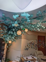 -彼家美创·量肤定制修护管理