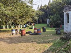 -上海滨江森林公园