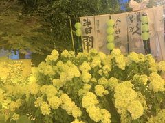 -山也·私厨(岳麓店)