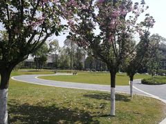 -四川大学(江安校区)