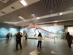 -桂林博物馆
