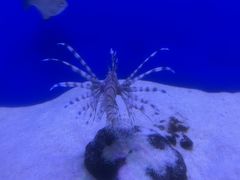 -海合安武汉极地海洋公园