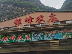 门面-银峰农庄·特色烧鸡·鲜无花果浸鸡