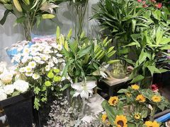 -淘花源花艺鲜花店 开业花篮 绿植(南部商务区店)