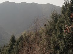 -福清灵石山国家森林公园