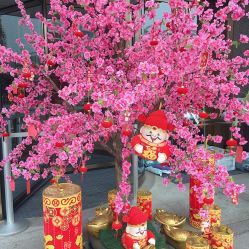 -和伊母婴护理中心·全套房(金山店)