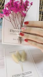 -7嘉nail eyelash·美甲美睫