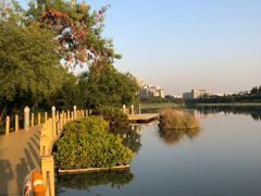 -华侨城湿地公园