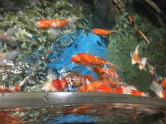 -多彩贵州城极地海洋世界