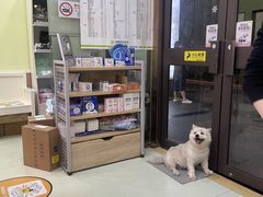 -瑞鹏宠物医院·宠保定点·心脏科·内科(御桥分院)