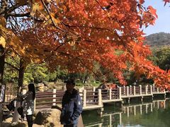 -白马涧龙池景区