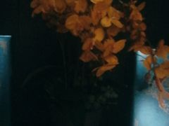 -见康道莱•足浴按摩•艾灸•SPA(友谊店)
