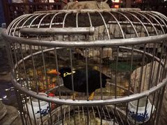 -陆公馆(新华西路店)